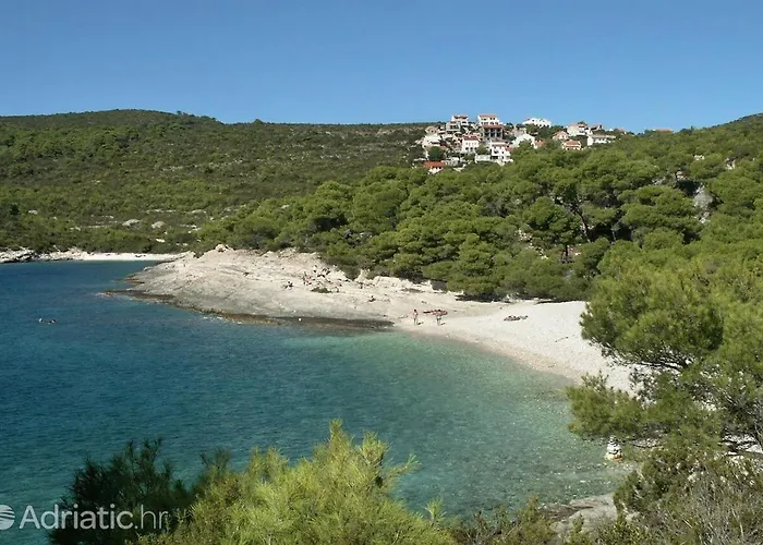 Apartment Dalmatino 3 Vis *