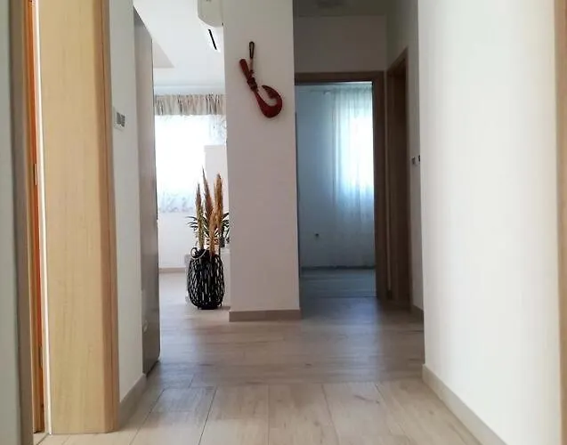 Dalmatino 3 Vis Rukavac (Vis)